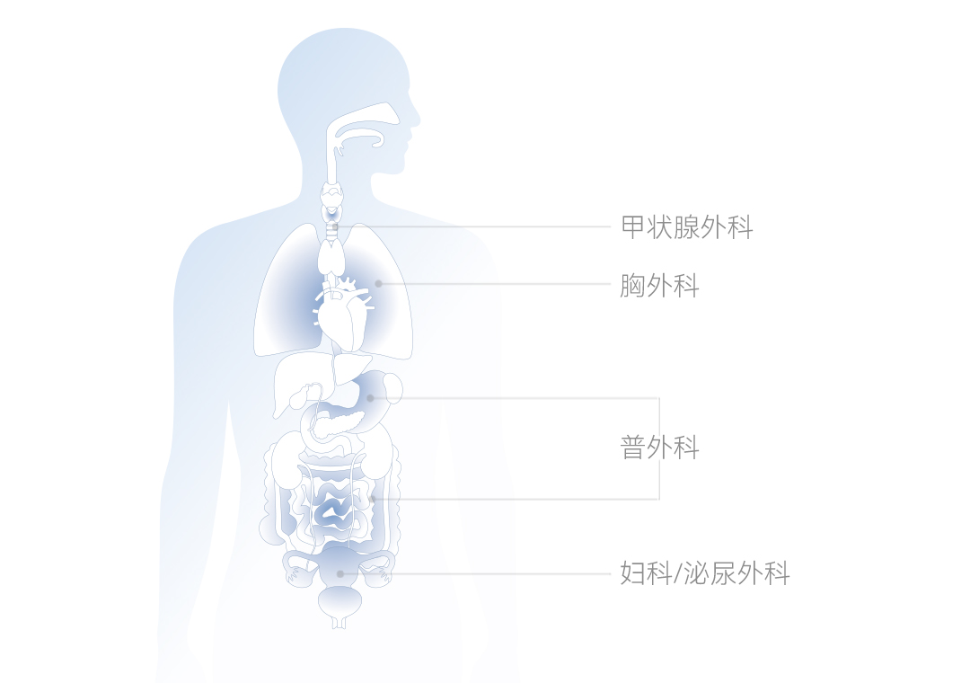 null 图片04.jpg
