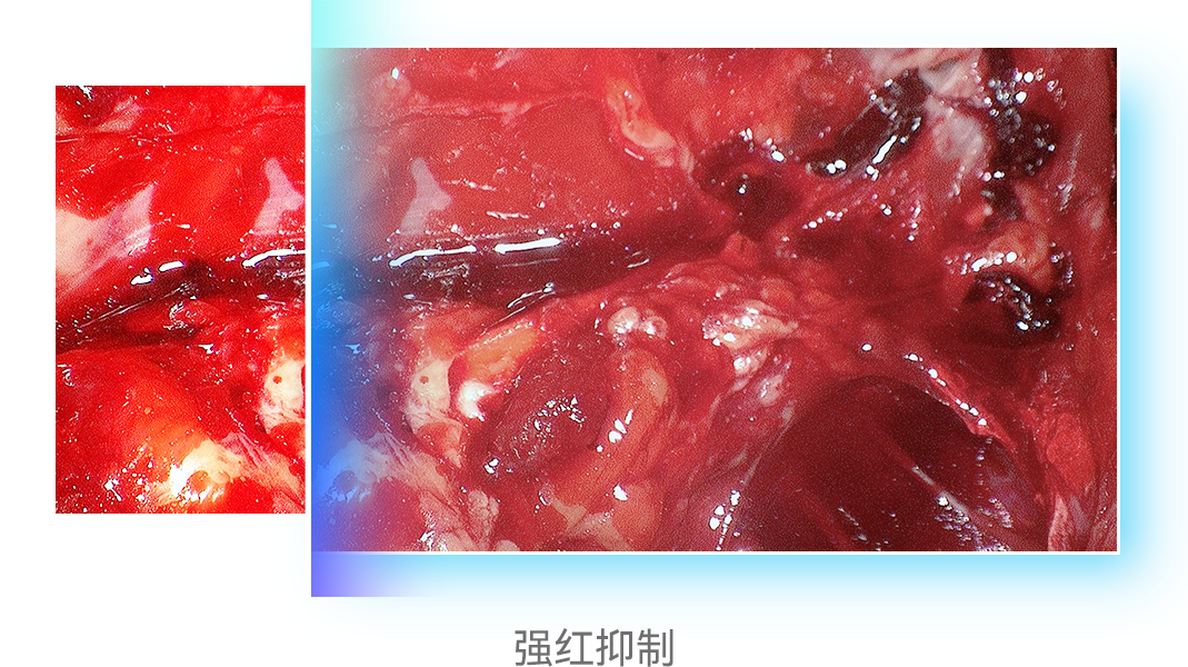ddd5b58115317db85a69880566d029b0.png