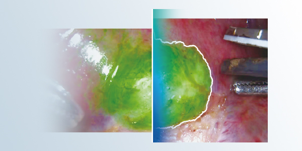 600x300-01.jpg