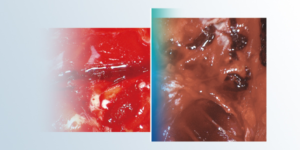 600x300-02.jpg