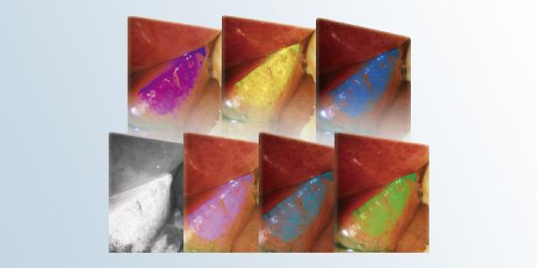 600x300-03.jpg