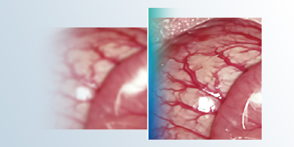 600x300-04.jpg
