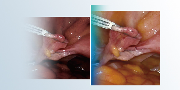 600x300-06.jpg